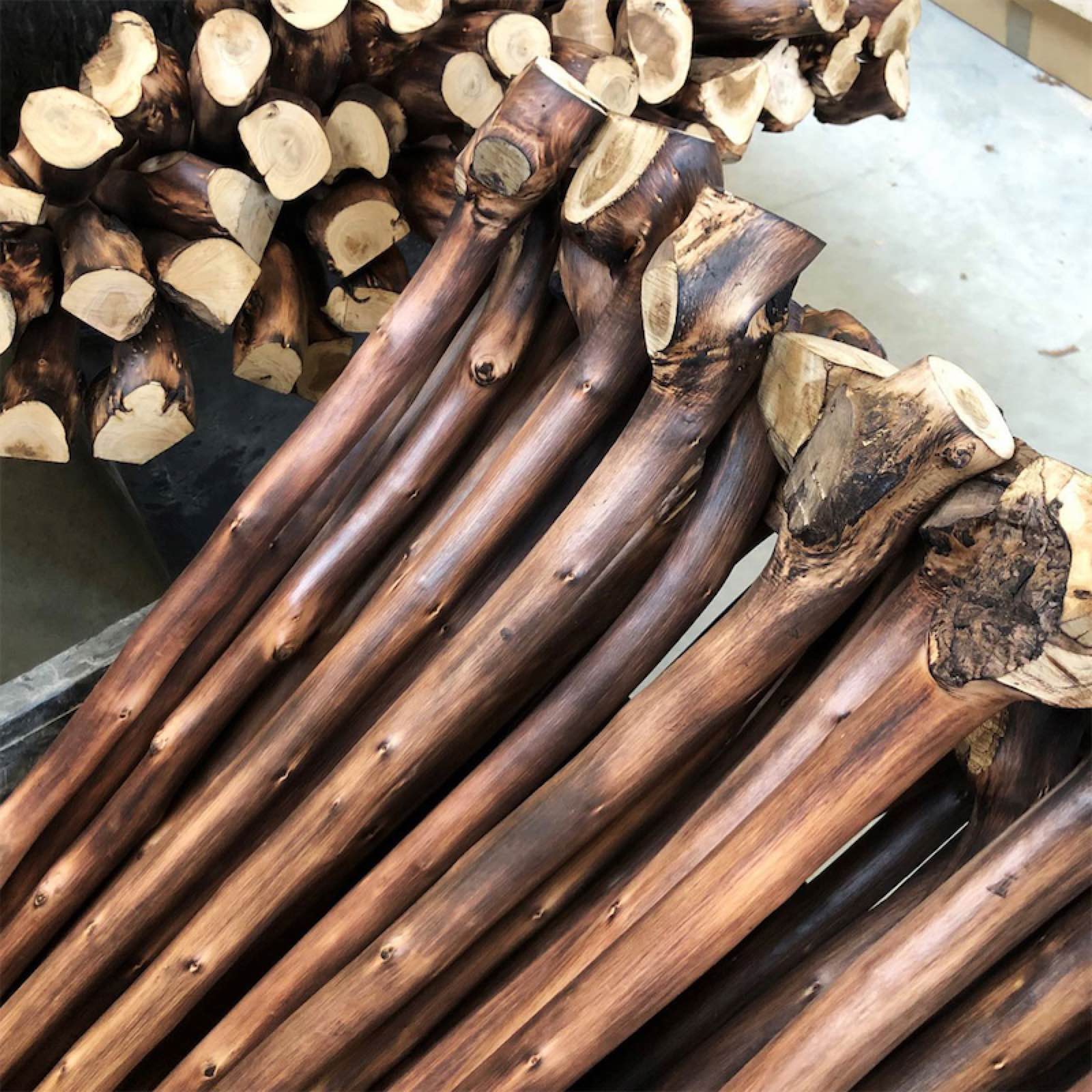 Pasotti Chestnut Walking Stick with Root