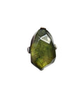 Dominique Denaive Diane Ring in Green