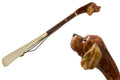 Pasotti Brown Cocker Spaniel Shoehorn