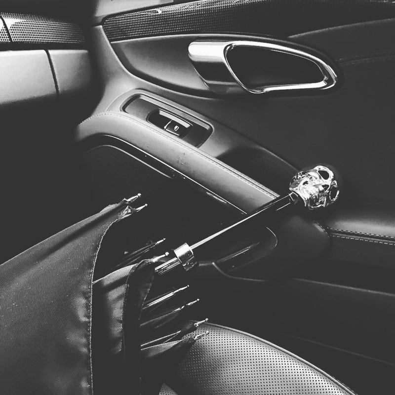 Pasotti Silver Skull Umbrella