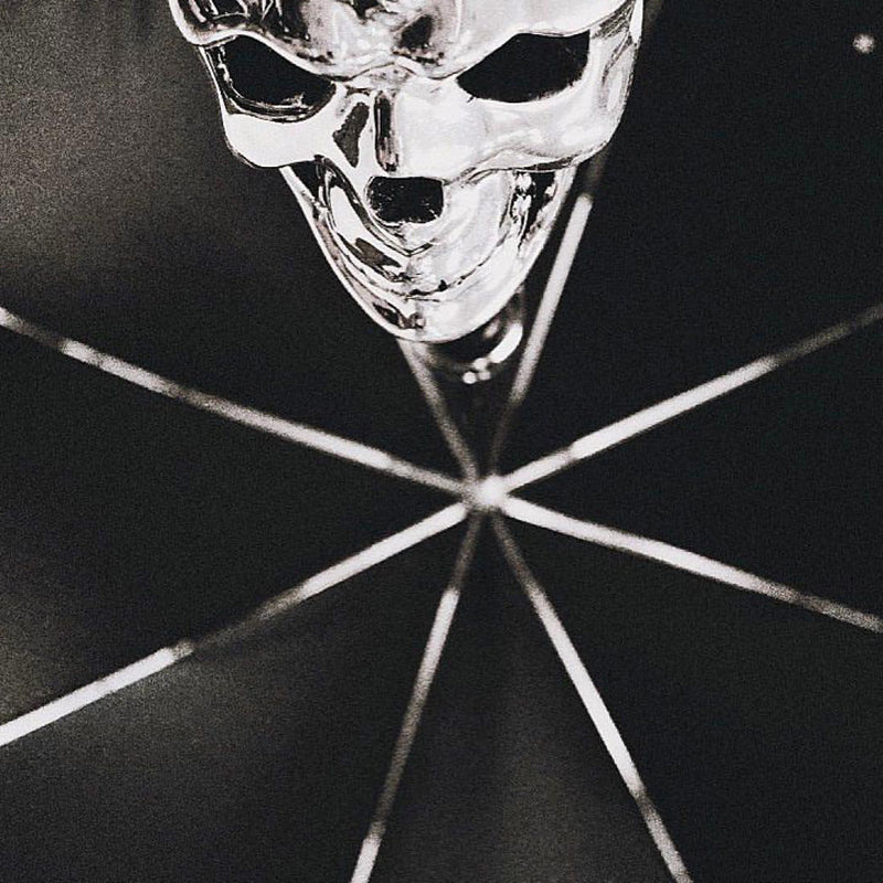 Pasotti Silver Skull Umbrella