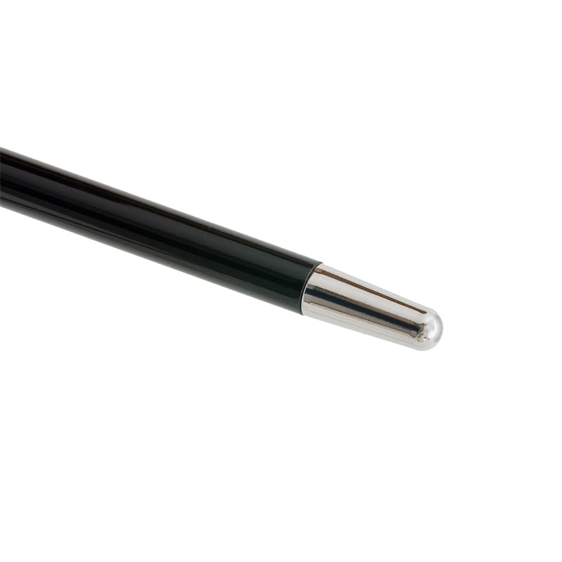 Pasotti Silver Skull Walking Cane