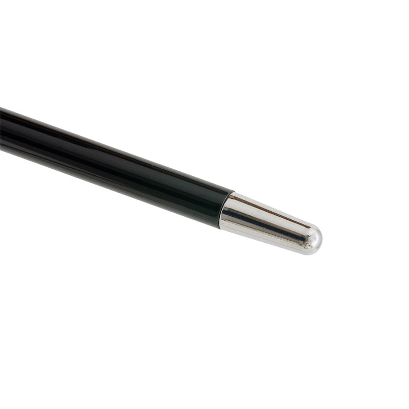 Pasotti Classic Walking Cane with Silver Handle