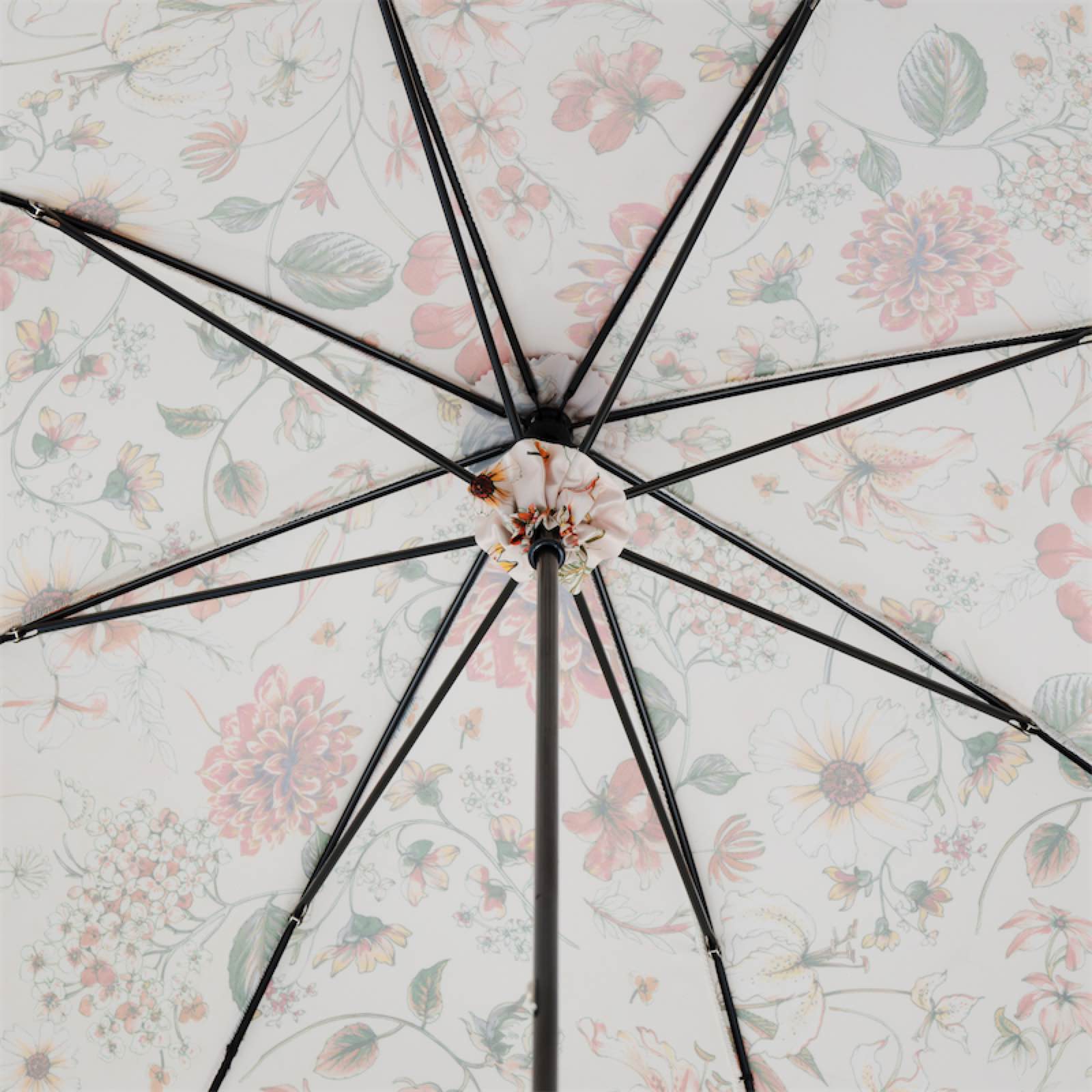 Pasotti Flowered Parasol with Whangee Handle