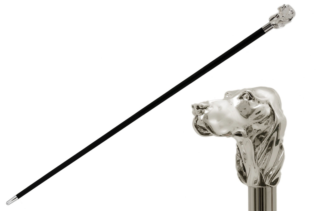 Pasotti Silver Dog Walking Cane