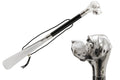 Pasotti Silver Labrador Shoehorn