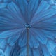 Pasotti Luxury Blue Dahlia Umbrella